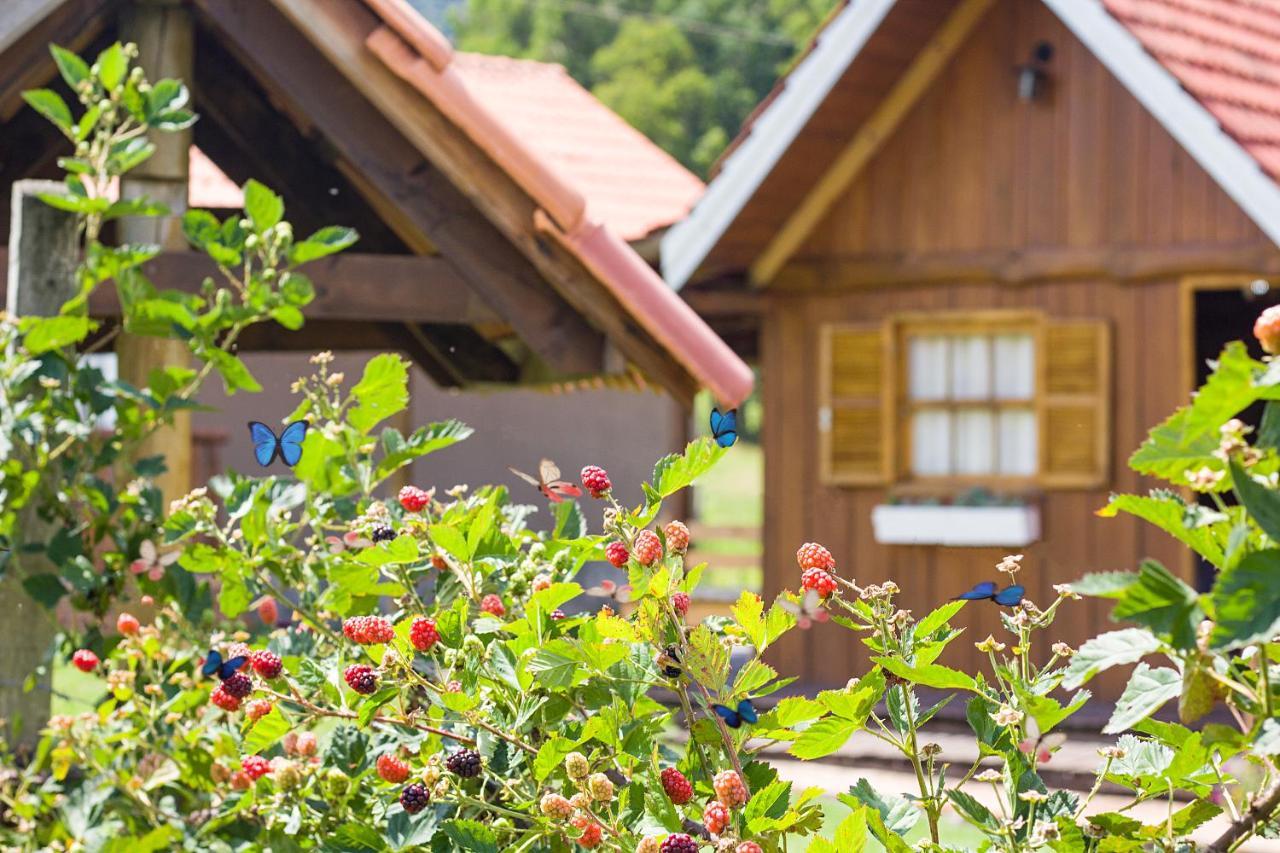 Pousada Rural Pavao - Suites E Chales Урубиси Екстериор снимка