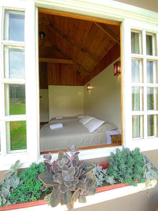 Pousada Rural Pavao - Suites E Chales Урубиси Екстериор снимка